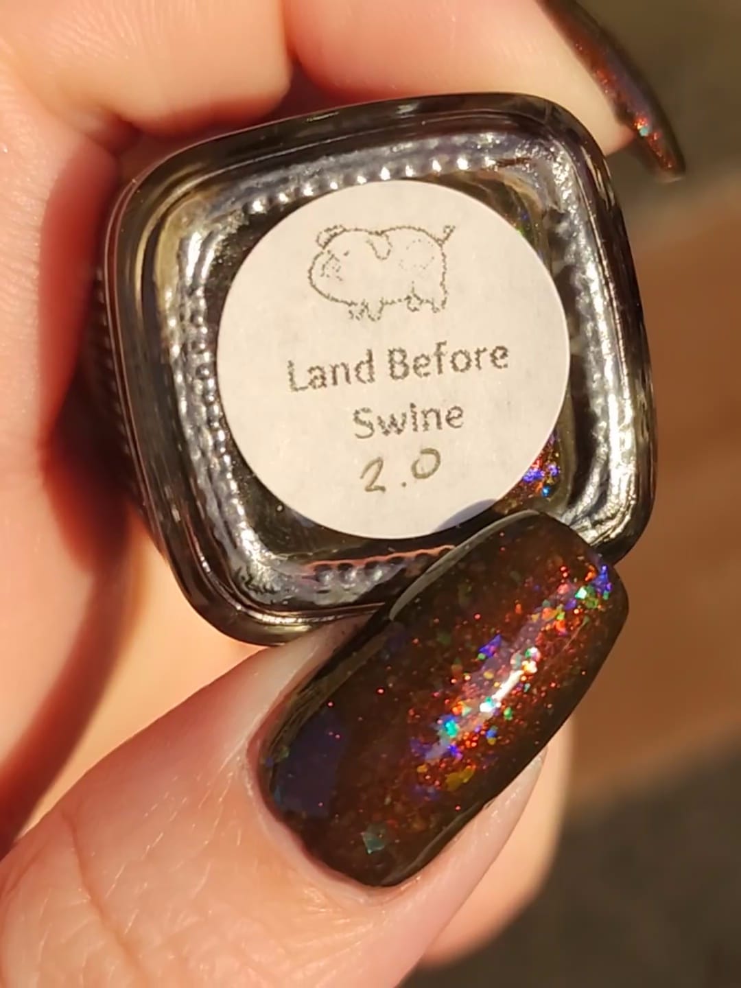 Land Before Swine - brown w/ OG UP shimmer + OG UP multichrome flakies