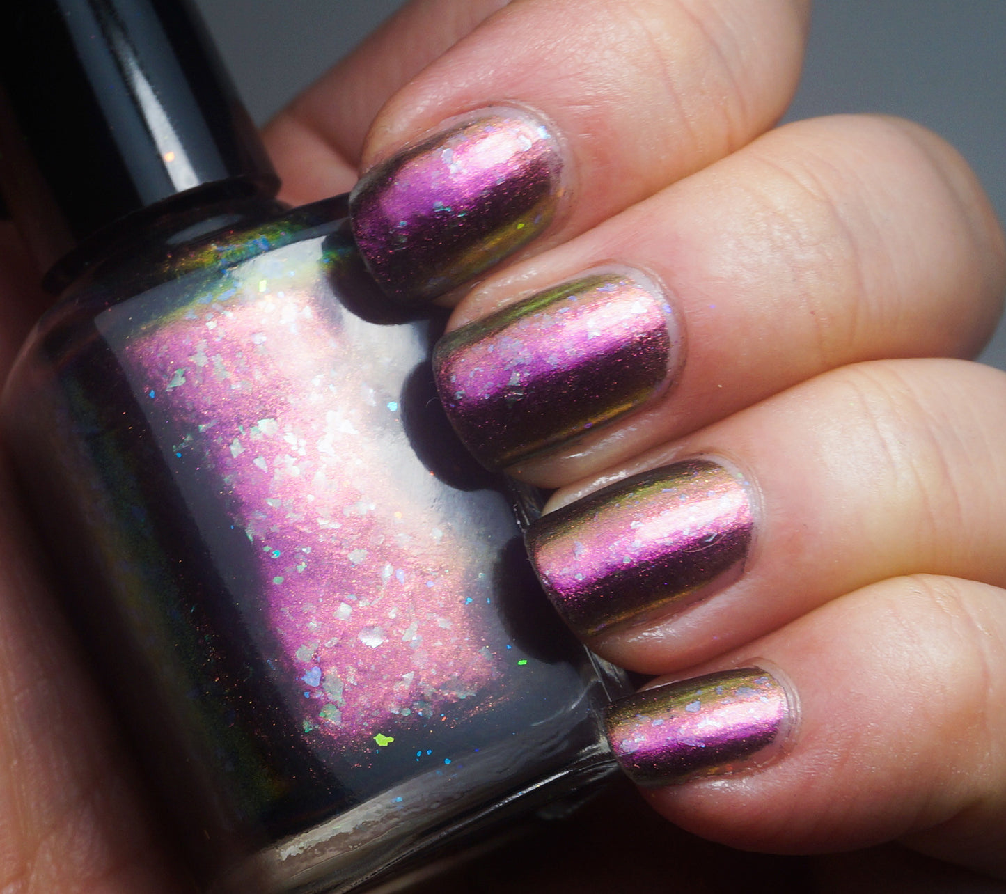 Rainbow Agama - OG UP - red multichrome flakie with OG UP sibling flakies