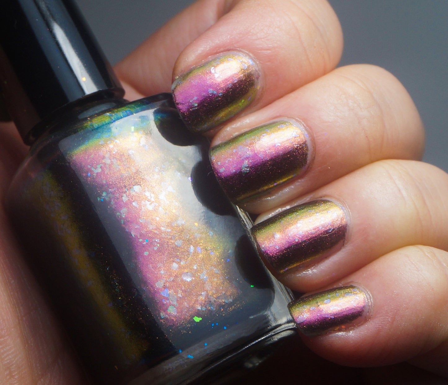 Rainbow Agama - OG UP - red multichrome flakie with OG UP sibling flakies